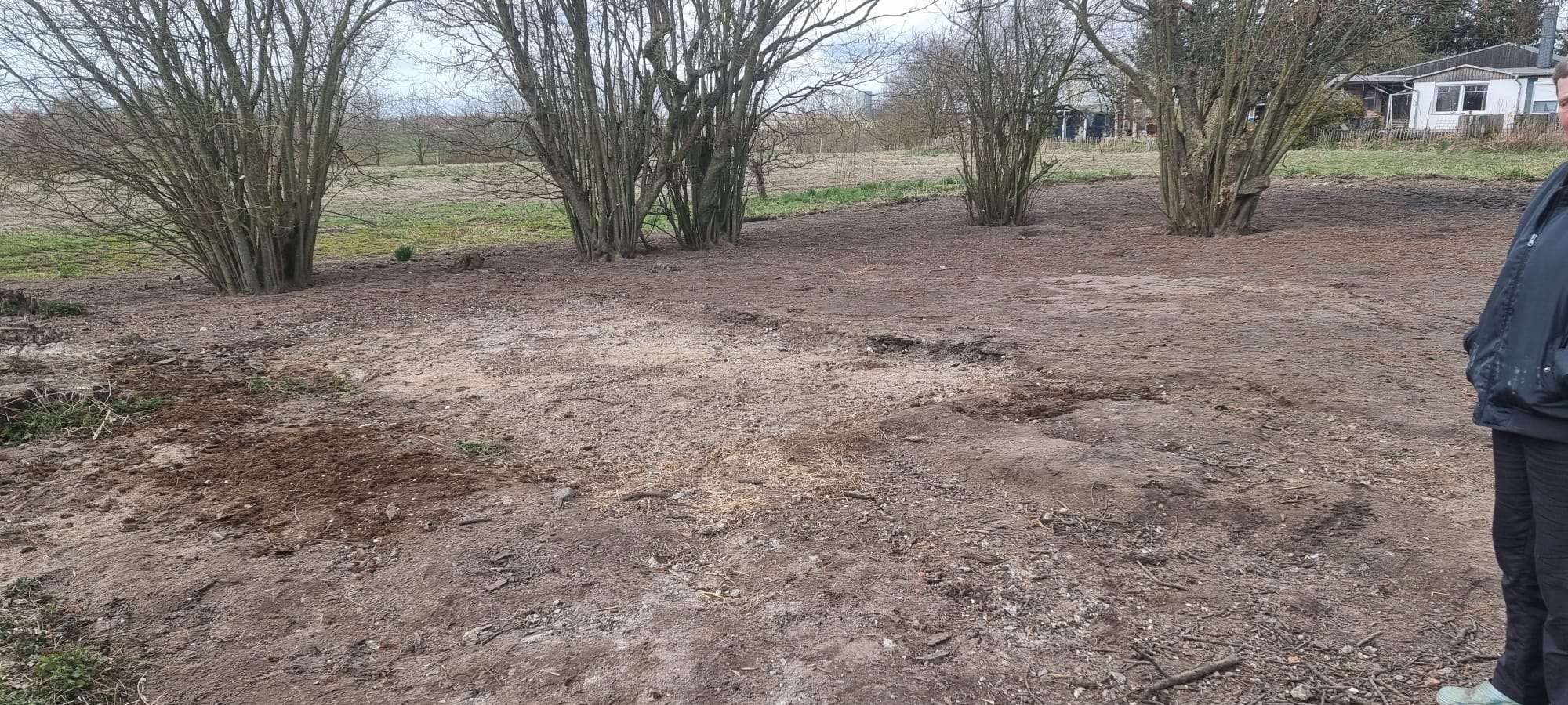 Abbruch Arbeiten Bild 4